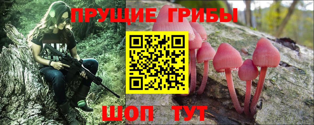 Галлюциногенные грибы прущие грибы Советский