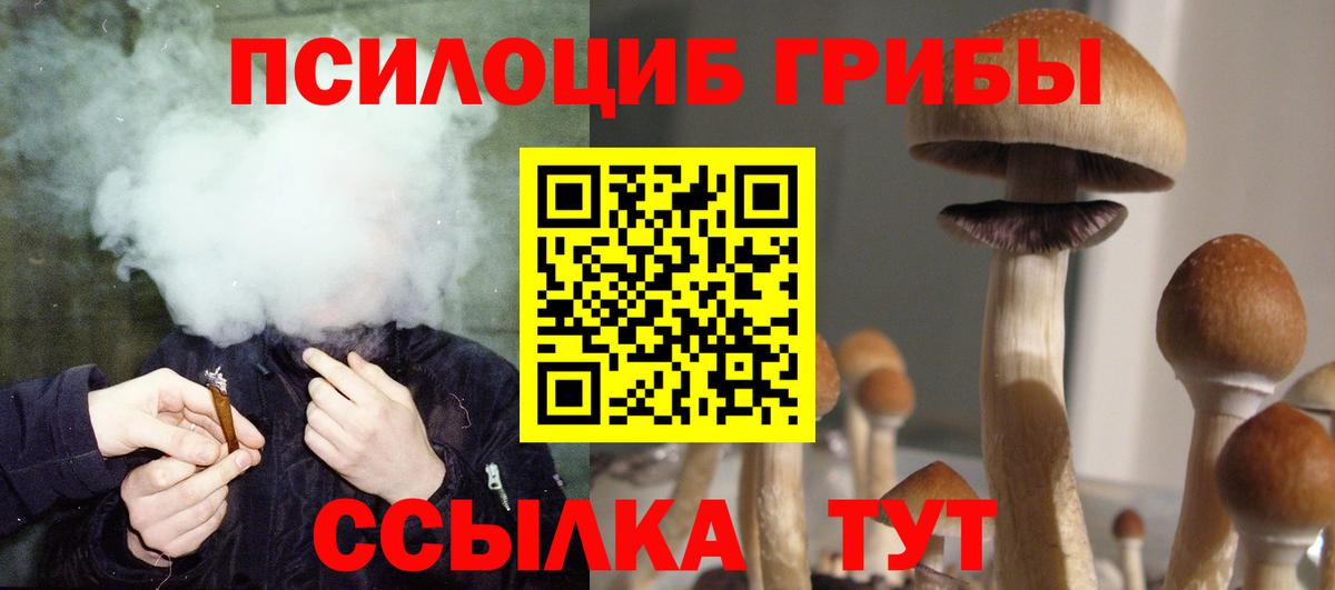 Советский  Псилоцибиновые грибы Psilocybine cubensis  Вход с VPN  Галлюциногенные грибы ЛСД 